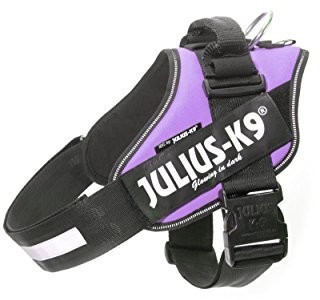 Julius K-9 Harnais IDC Power taille 2 violet
