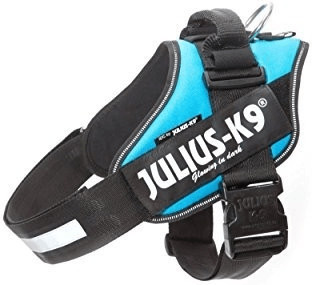 Julius K-9 Harnais IDC Power taille 2 aquamarine
