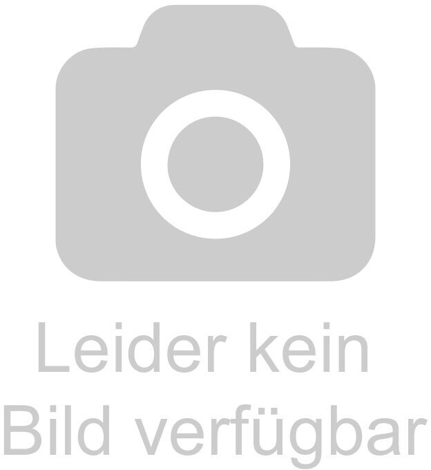 DT Swiss Revolution Spoke silver 260mm