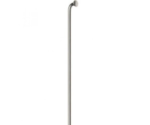 DT Swiss Champion rayon de vélo argenté 266mm