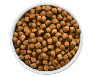 Hill's diabetic clearance dog food