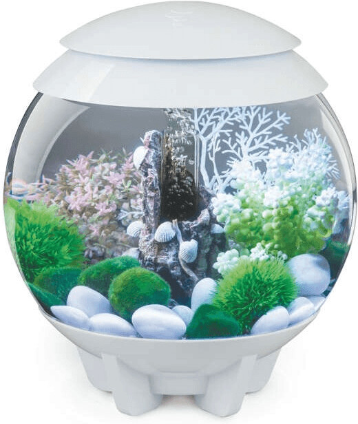 biOrb HALO 15 MCR