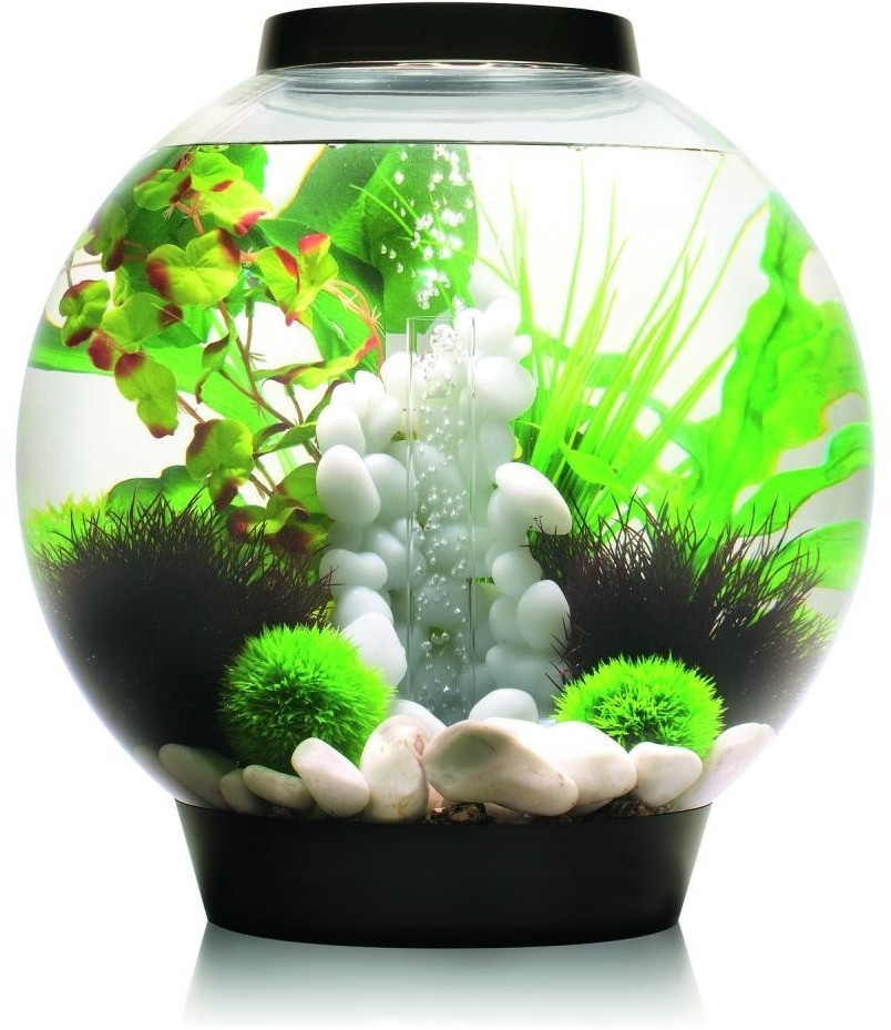 biOrb Classic 30 LED black (45664)