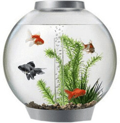 biOrb Classic 15 LED