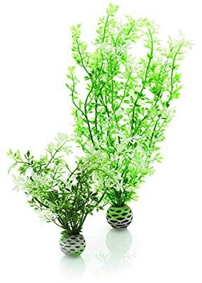 biOrb Winterblume Set 2 (46067)