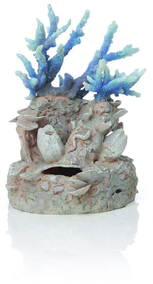 biOrb Korallenriff Ornament blau (46121)