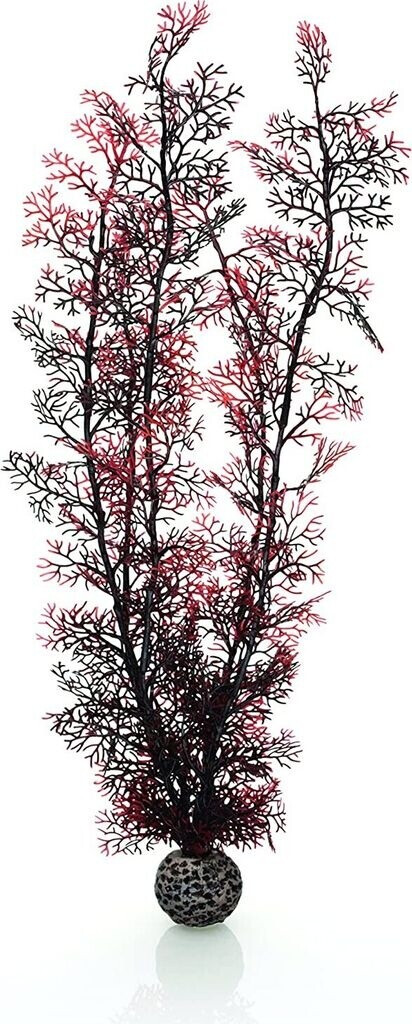 biOrb Hornkorallen extra groß dunkelrot (46075)