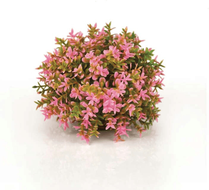 biOrb 46088