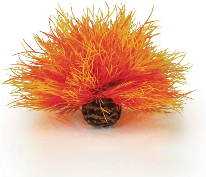 biOrb 46085