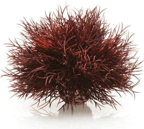 biOrb 46077