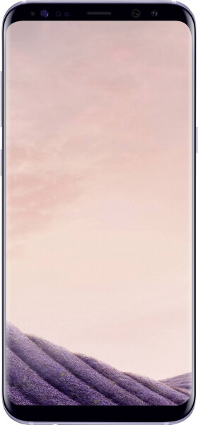 Samsung Galaxy S8+ Orchid Grey, Bild 2