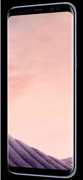 Samsung Galaxy S8+ Orchid Grey, Bild 4
