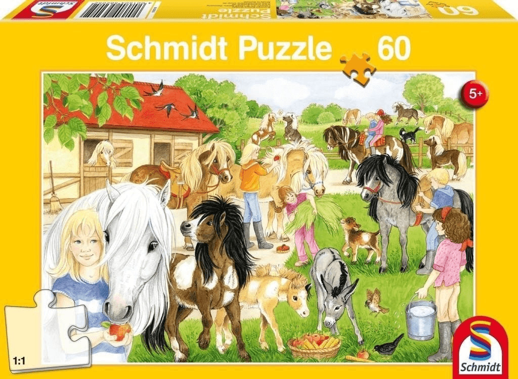 Schmidt 56205
