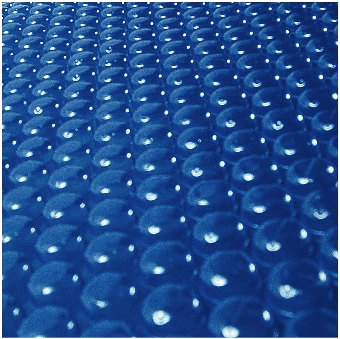 SunBay Bâche à bulles 637 x 412 cm (784800)