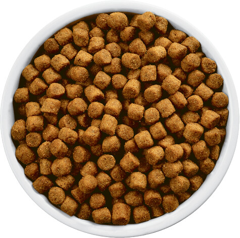 Hill's Croquettes pour chien 12 kg Hill's Croquettes pour chien 12 kg