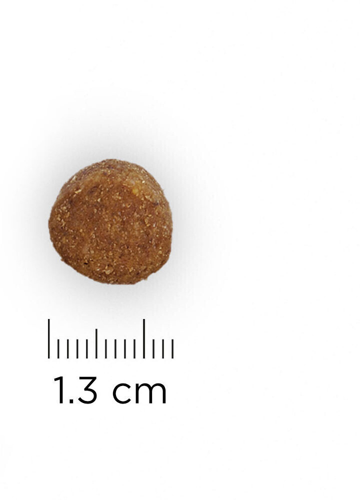 Hill's Croquettes pour chien 12 kg Hill's Croquettes pour chien 12 kg