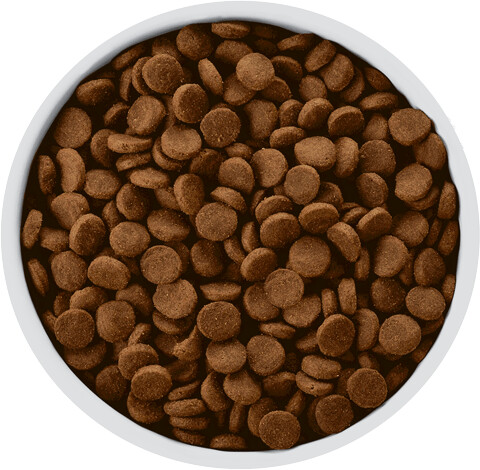 Hill's Croquettes pour chien 10kg Hill's Croquettes pour chien 10kg