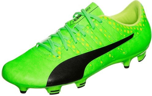 Puma evoPOWER Vigor 4 FG