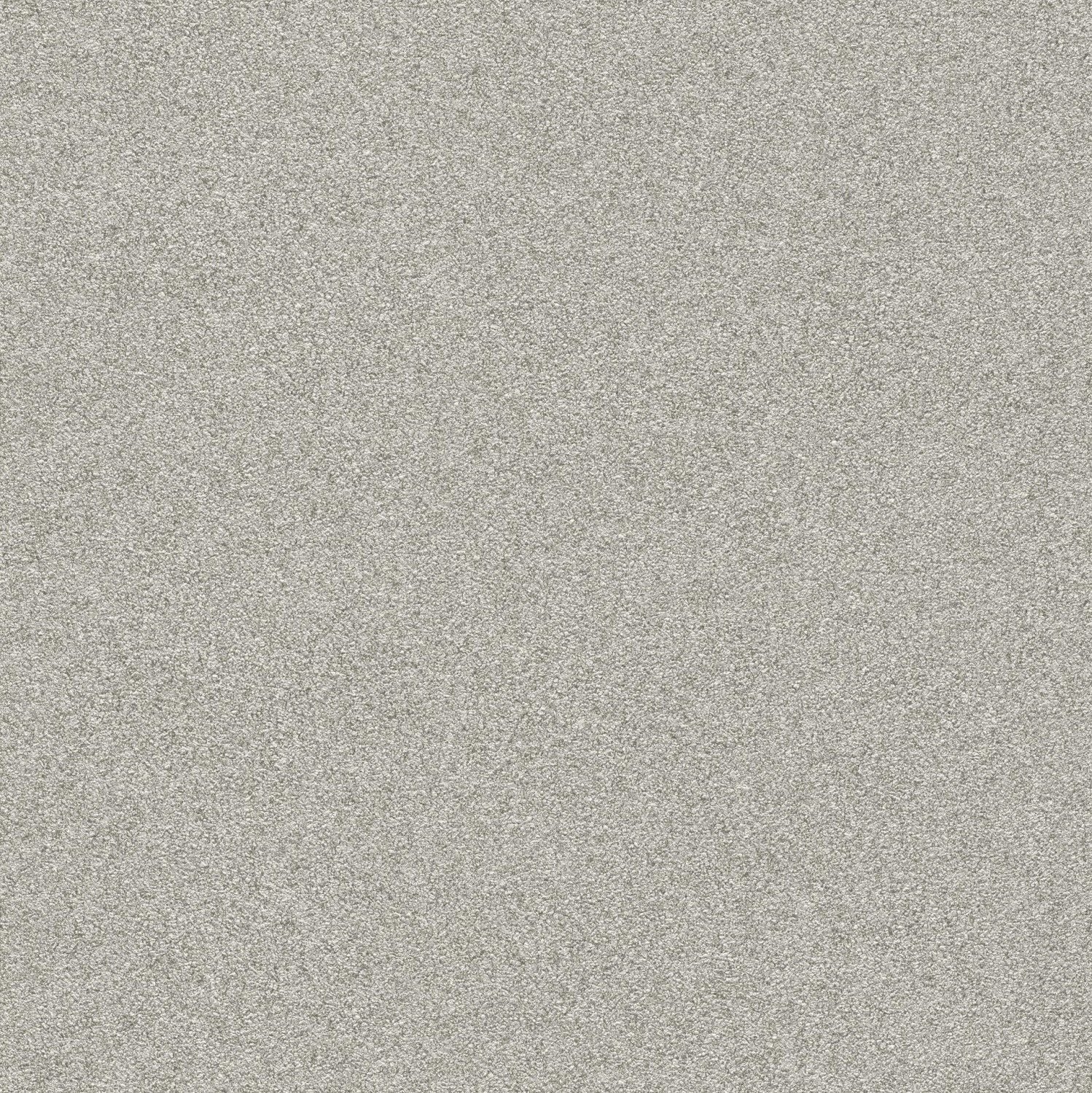Rasch 606652