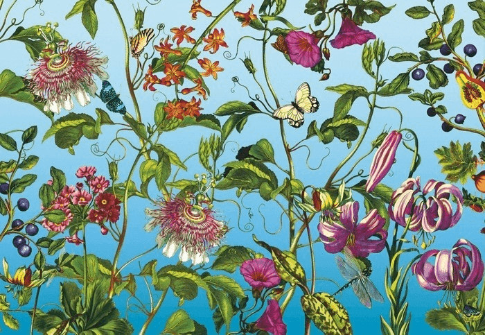 Komar Jardin (XXL4-029)