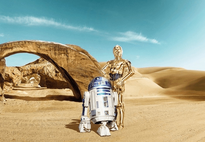 Komar Star Wars Lost Droids (8-484)