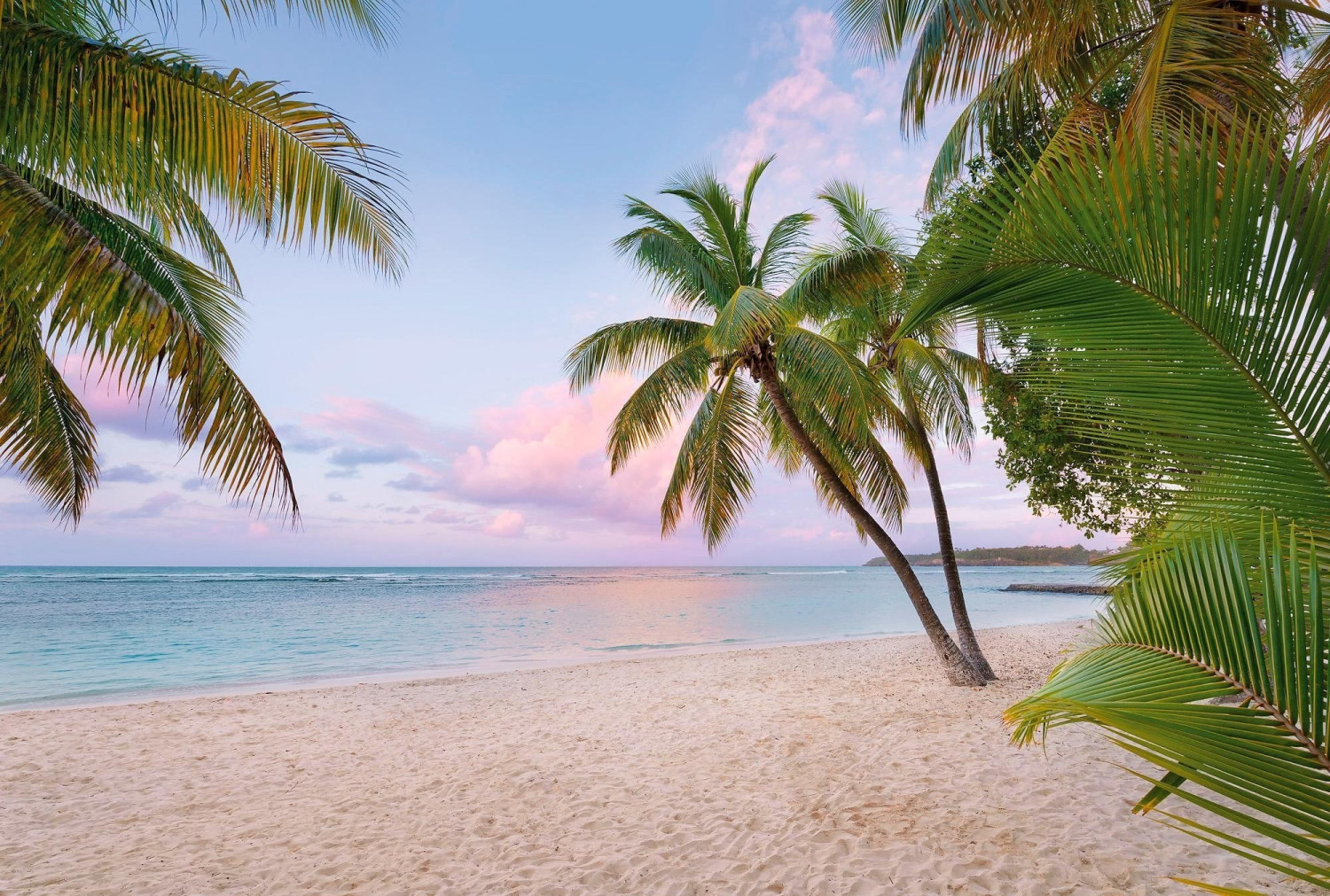 Komar Paradise Morning 248 x 368 cm (XXL4-528)