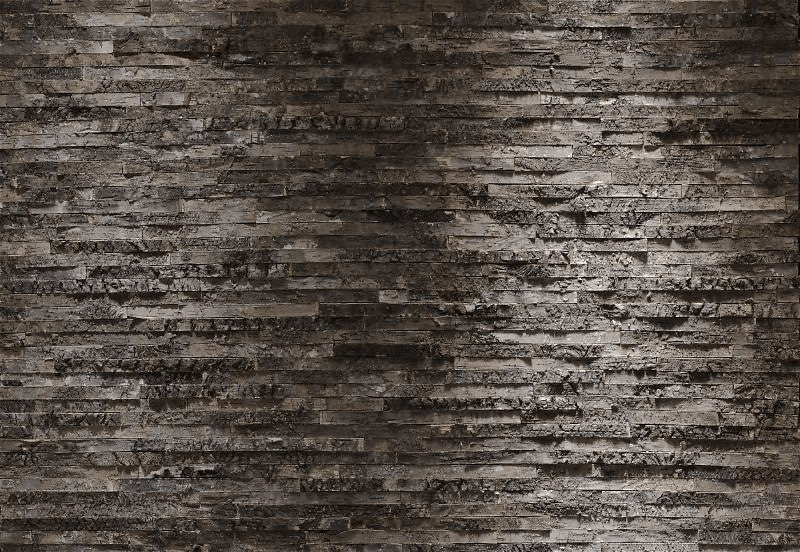 Komar Écorce de bouleau 368 x 254 cm  (8-700)