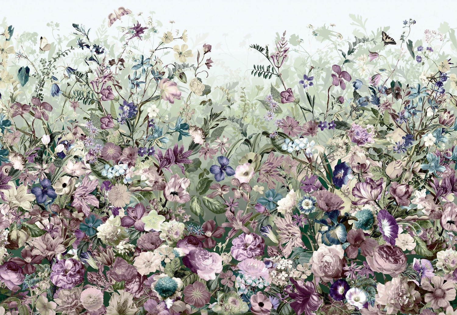 Komar Botanica (XXL4-035)