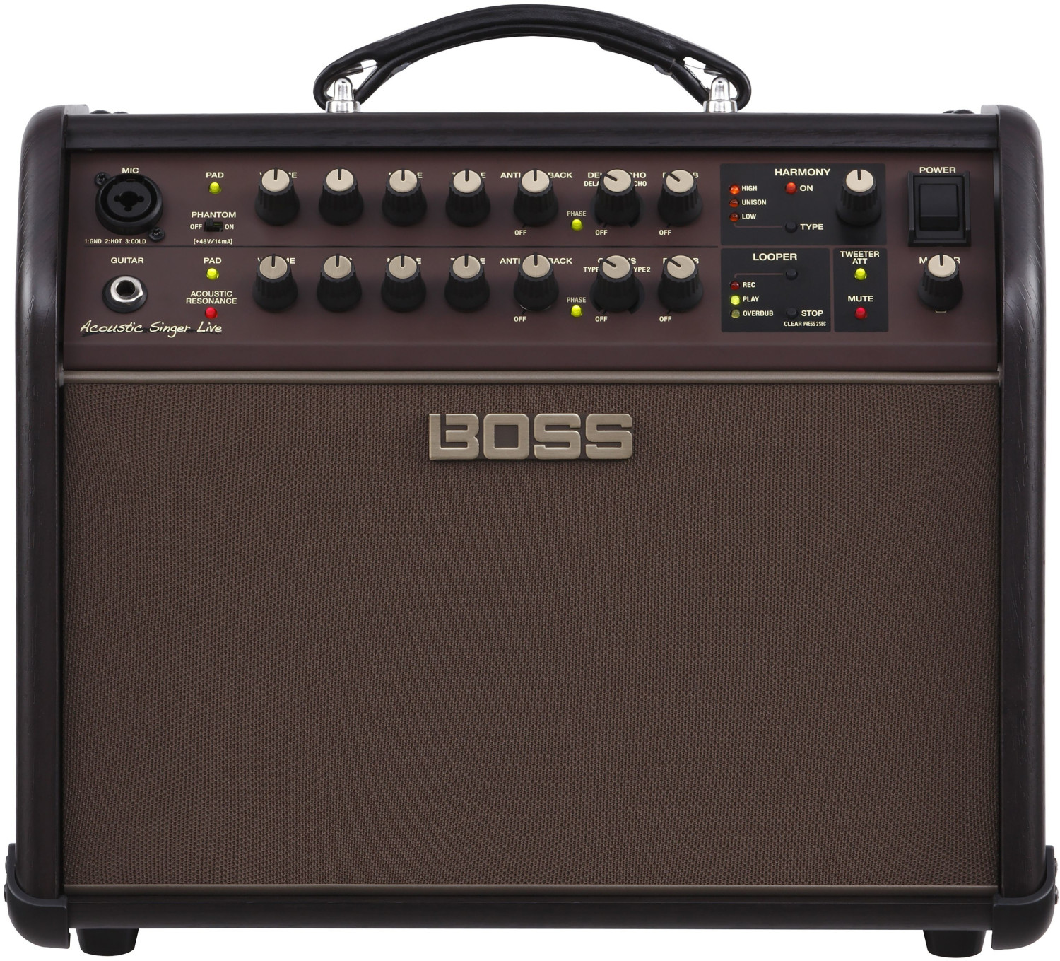 Boss Acoustic Singer Live