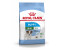 Royal Canin Mini Puppy 2-10 Month Dry Food