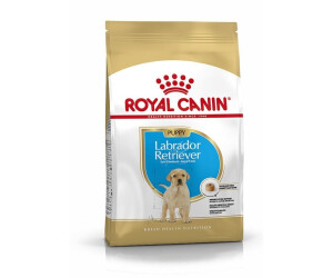Royal canin labrador retriever 12kg discount