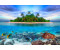 PaperMoon Marine Life Maldives 350x260 cm