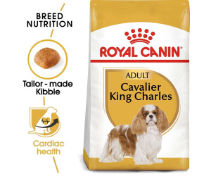Royal canin cheap cavalier food