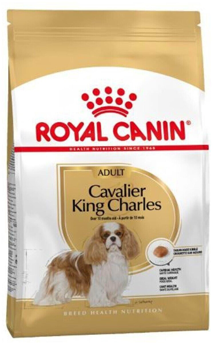 Royal Canin Cavalier King Charles Adult