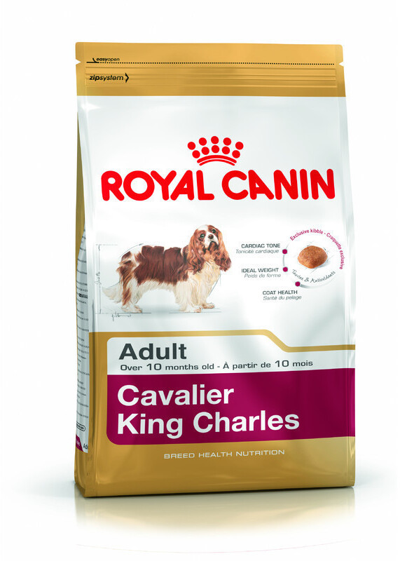 Royal Canin Cavalier King Charles Junior