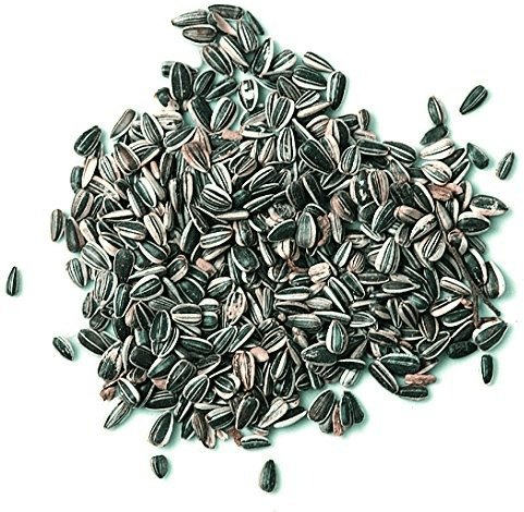 Erdtmanns Graines de tournesol