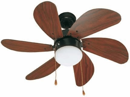 Faro Palao marron