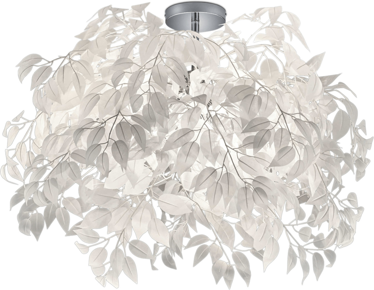 Trio Leavy (R60463001)