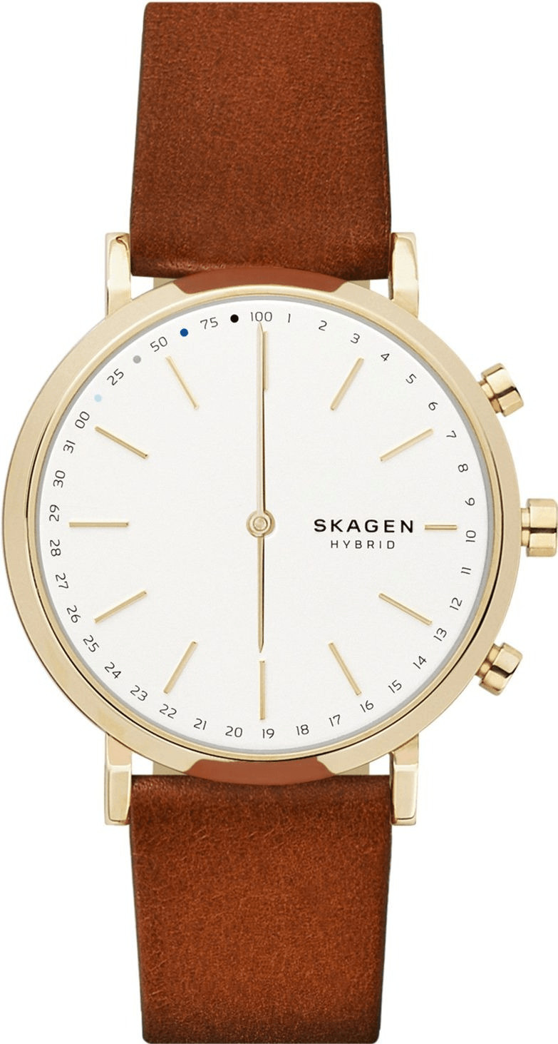 Skagen Hald Connected or cuir marron