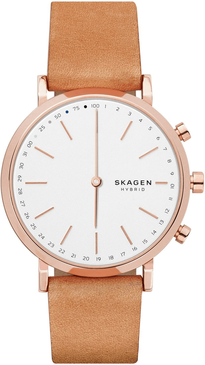 Skagen Hald Connected