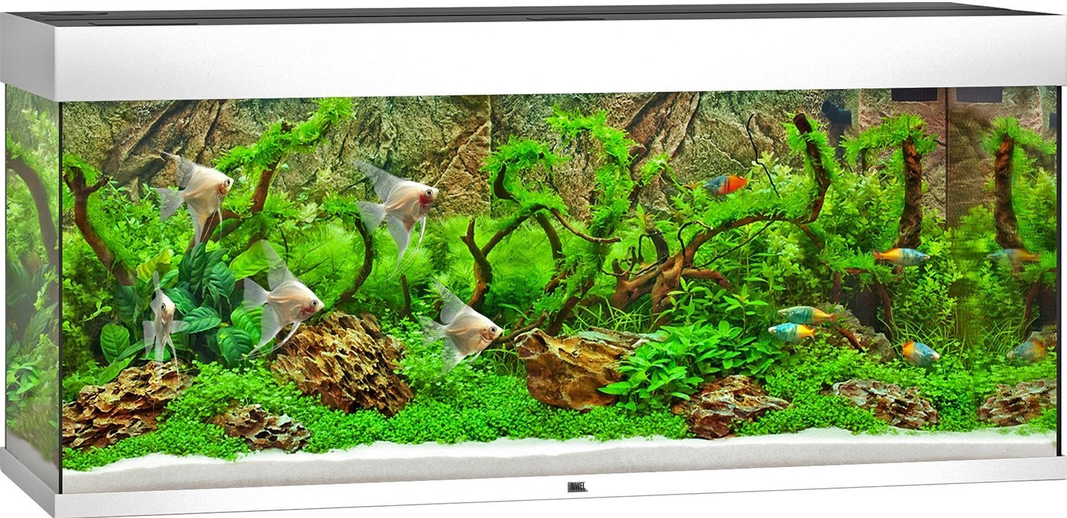 Juwel Rio 240 LED without cabinet White