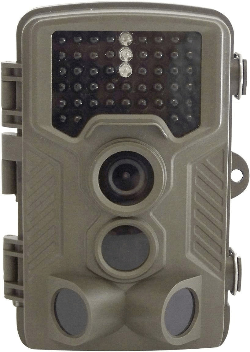 Berger & Schröter 31646