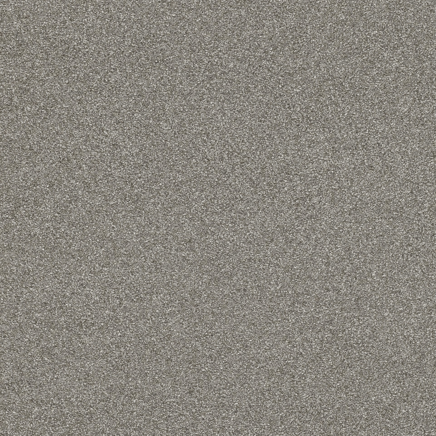 Rasch 606690
