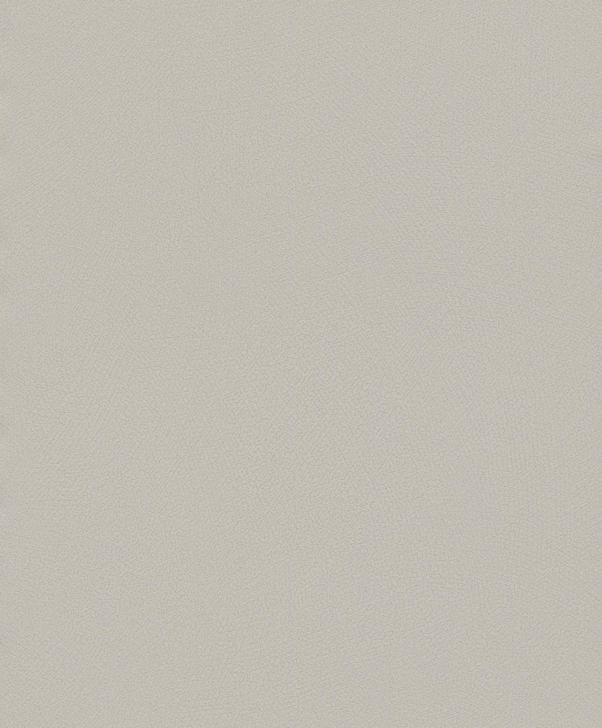 Rasch 610093