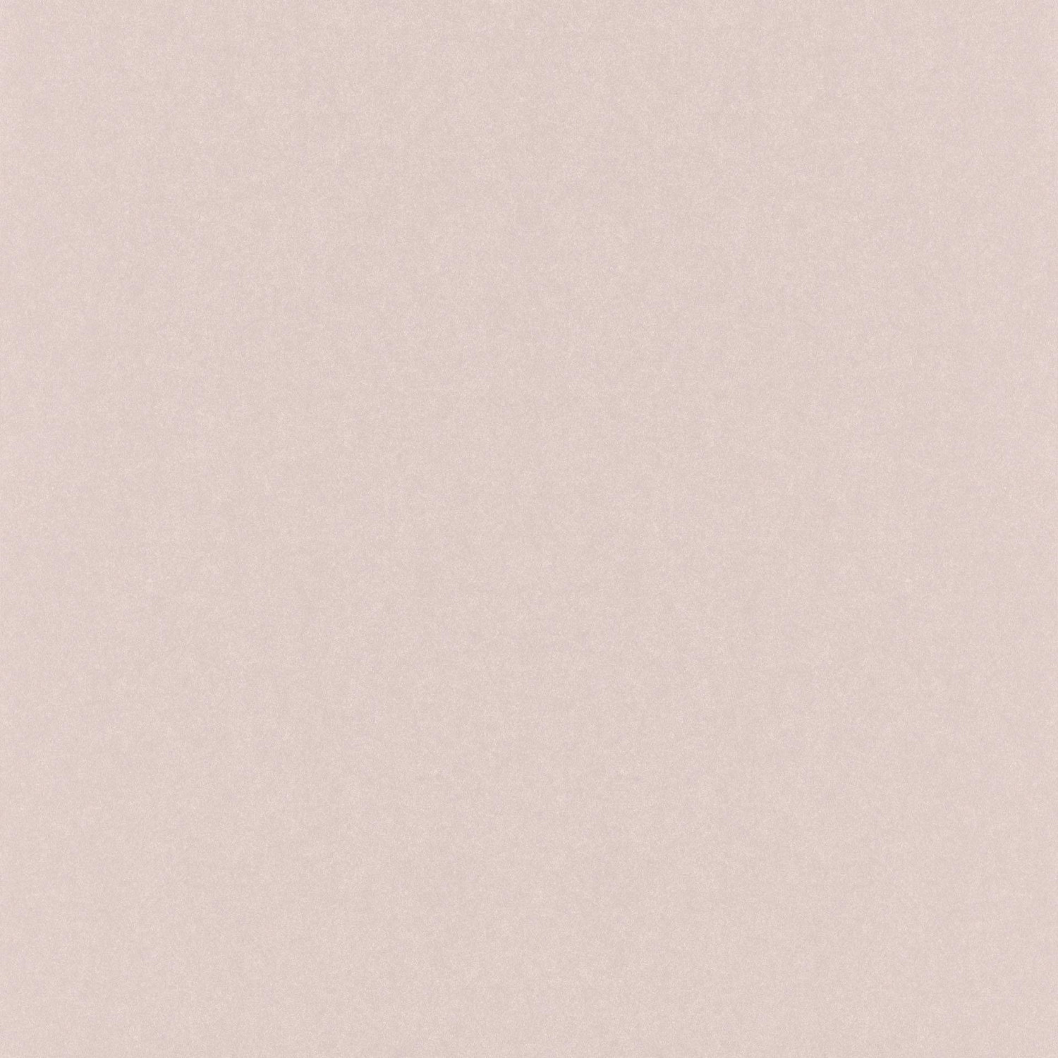 Rasch 501148