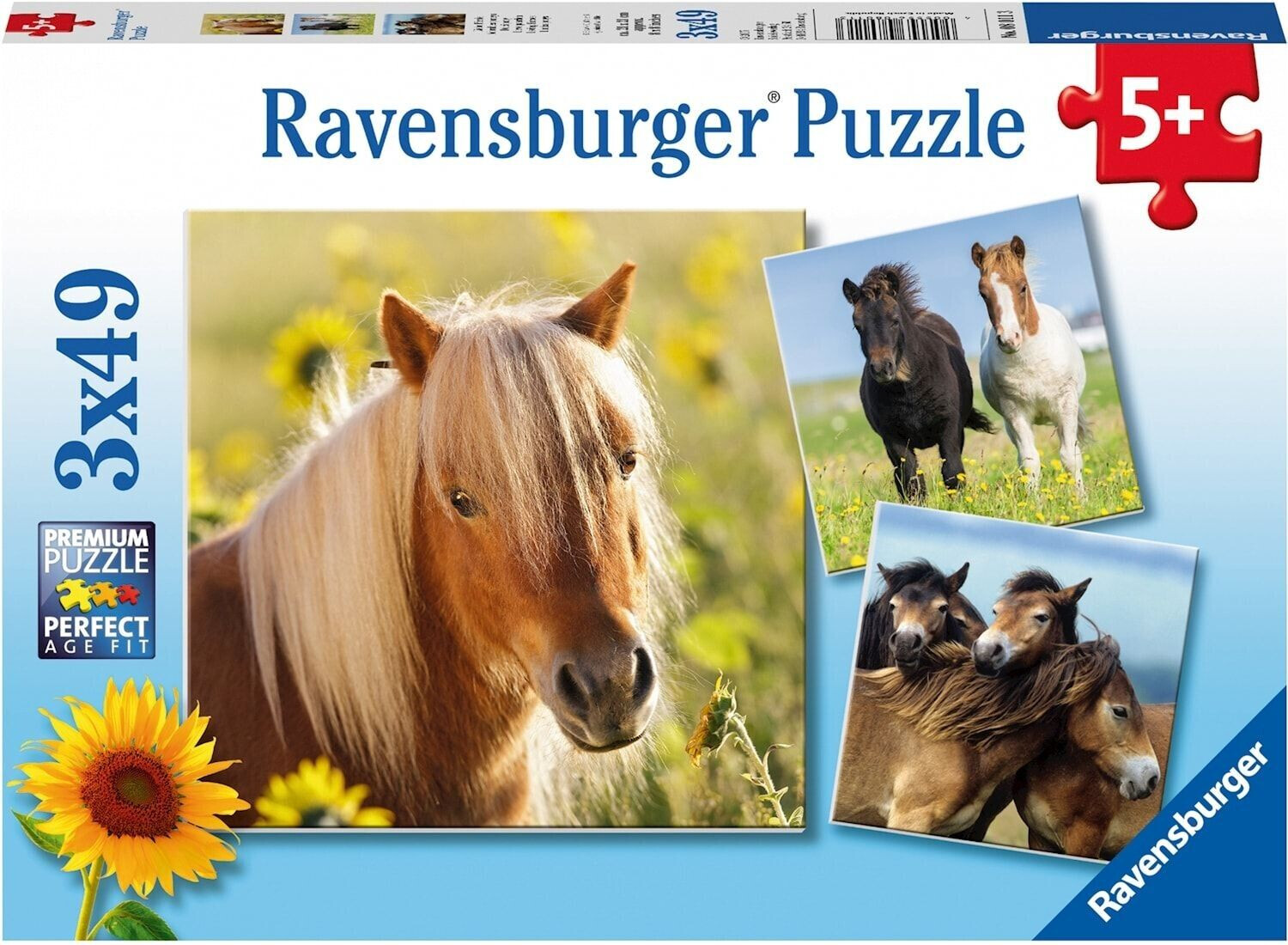 Ravensburger 80113