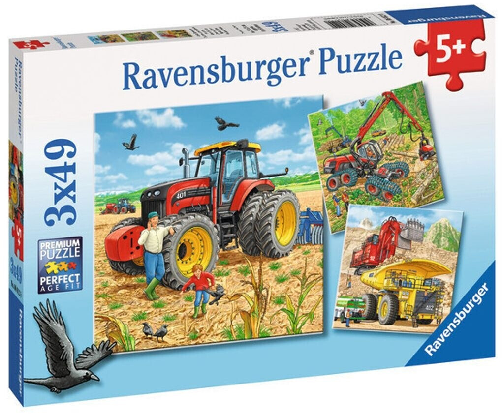 Ravensburger 80120