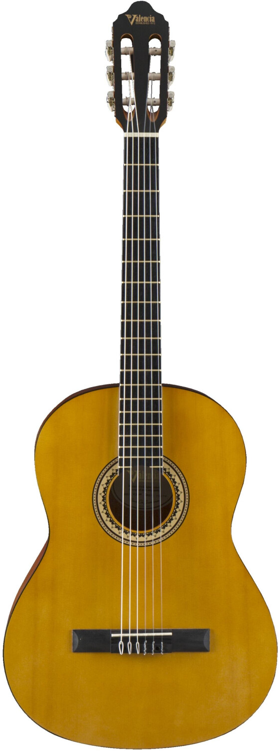 Valencia Guitars VC204H Natural