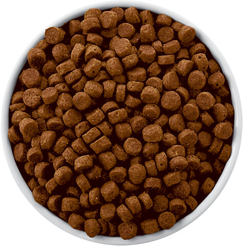 Hill's Croquettes pour chien 12kg Hill's Croquettes pour chien 12kg