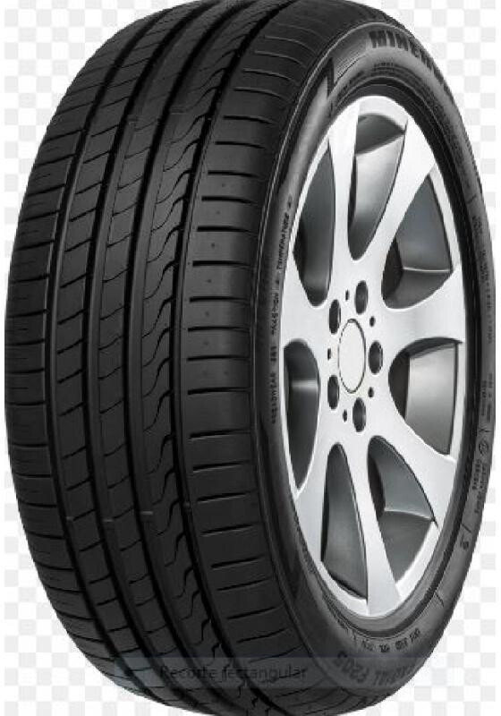 Minerva F 205/50 R17 93W